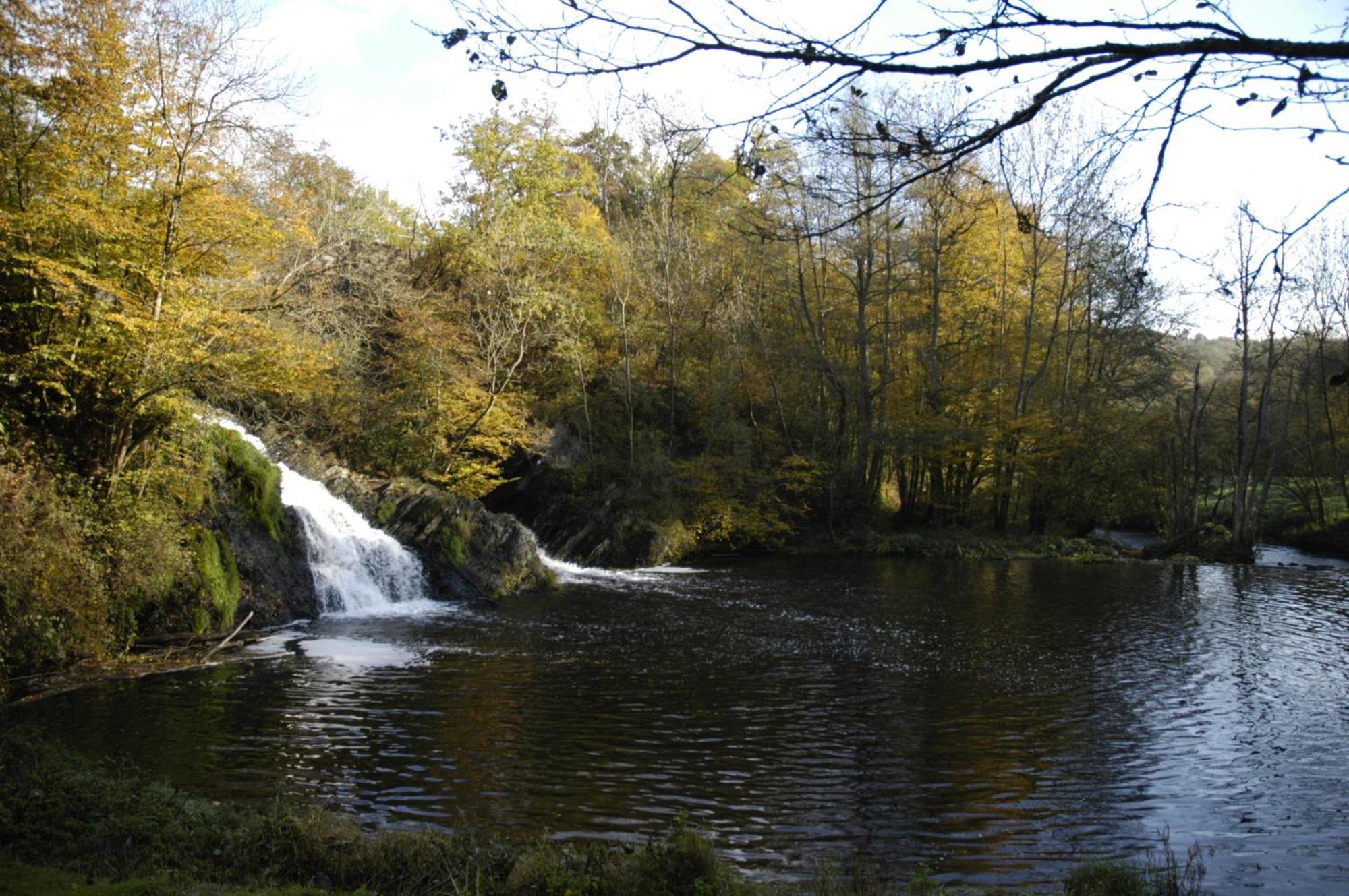 Stiftsherrenhaus Munstermaifeld Luaran gambar